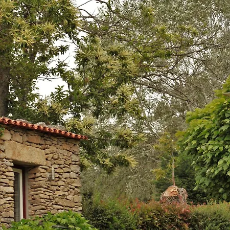 Moinho D'antoninha Casa de hóspedes