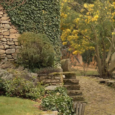 Moinho D'antoninha 3*