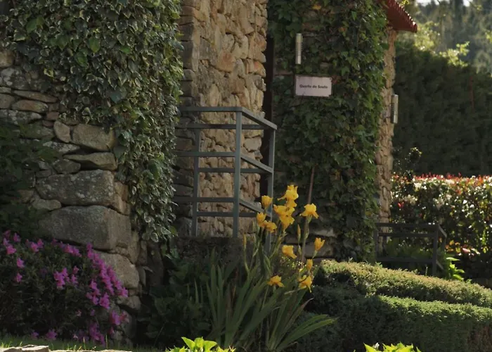 Moinho D'antoninha Leomil